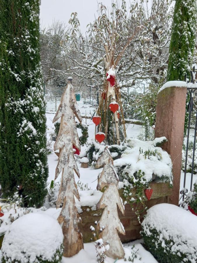 فيلا L'Alcove Des P'Tits Coeurs Benfeld المظهر الخارجي الصورة