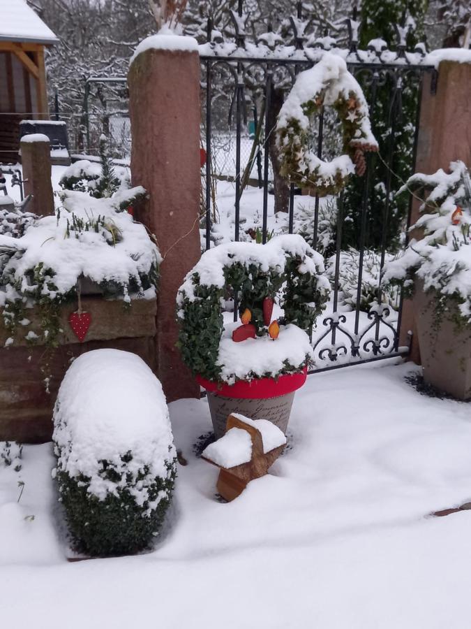 فيلا L'Alcove Des P'Tits Coeurs Benfeld المظهر الخارجي الصورة